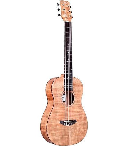 washburn アコースティックギター Amazon.com: Washburn 6 String Acoustic-Electric Guitar